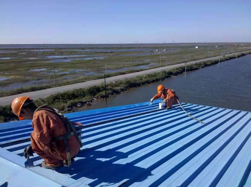 小板镇钢结构屋面漏水原因